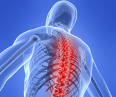 Focus on Spondiloartriti