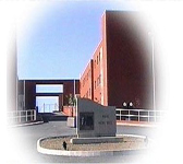 X Workshop on Apoptosis in Biology and Medicine