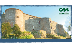 Sicurezza del paziente e responsabilità professionale