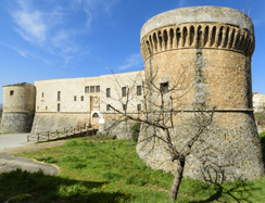La psoriasi nuovi orientamenti diagnostici e terapeutici