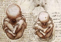 Il neonato piccolo per l'età gestazionale. Valutazione e follow-up tra ospedale e territorio