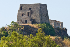 La psoriasi oltre la pelle: Ruolo del Medico di Medicina generale nella gestione della malattia